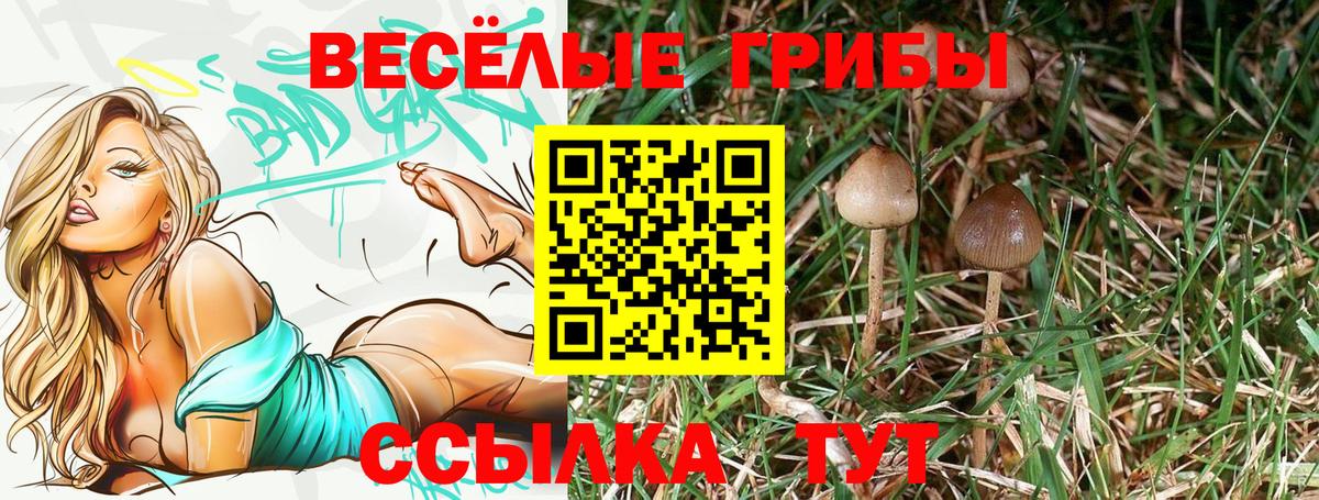 Нерюнгри  Псилоцибиновые грибы Psilocybine cubensis  Вход с VPN 